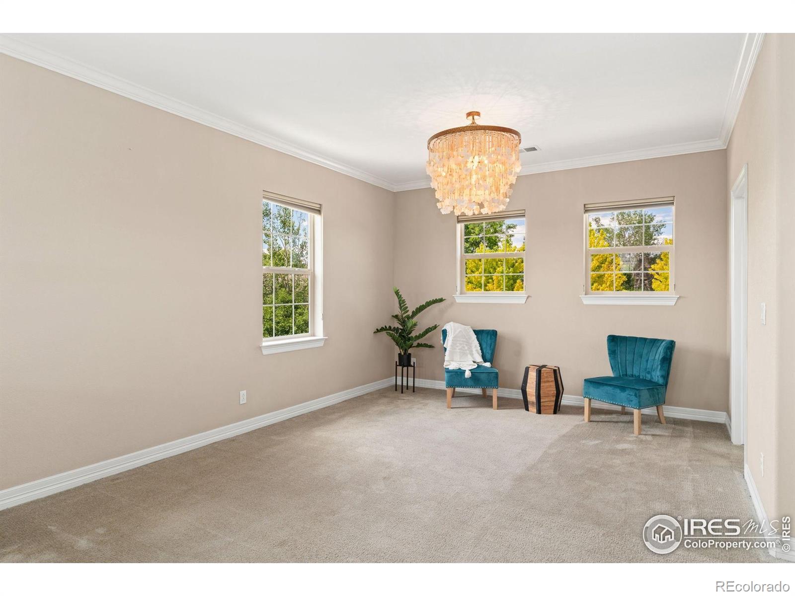 MLS Image #29 for 1485  eversole drive,broomfield, Colorado