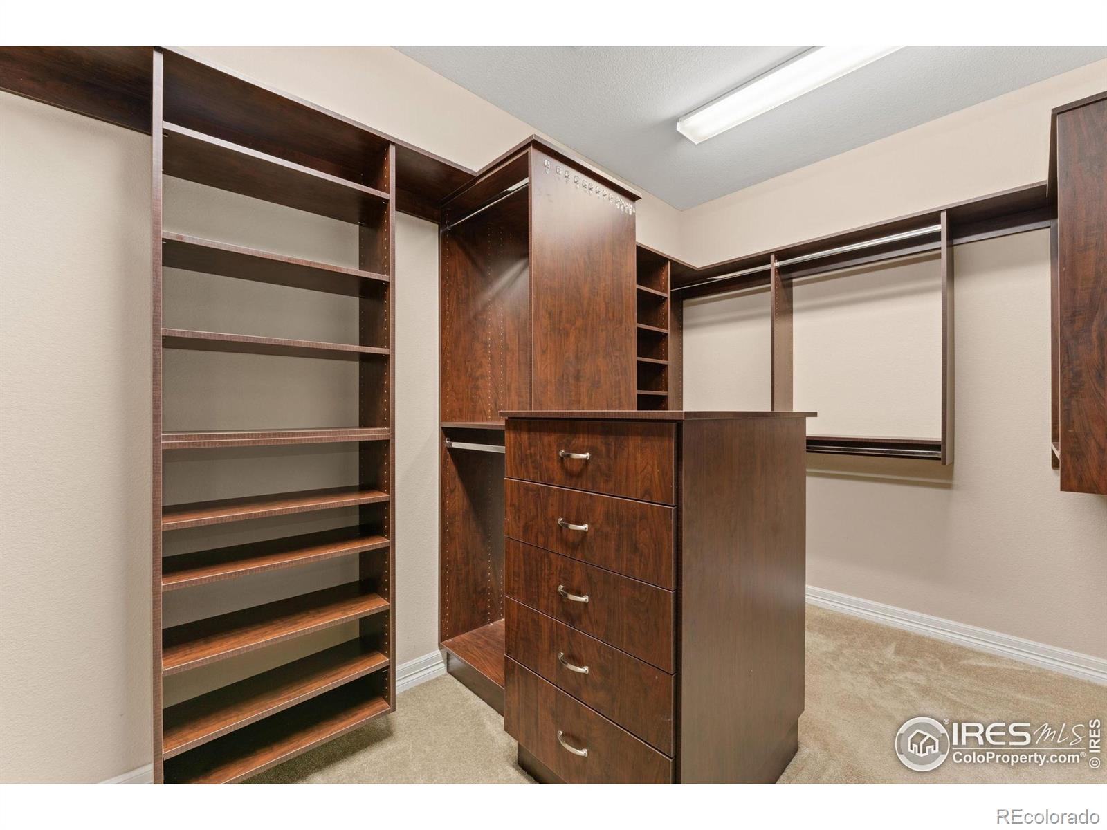 MLS Image #32 for 1485  eversole drive,broomfield, Colorado