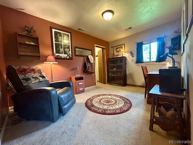 MLS Image #16 for 1746  lump gulch road,black hawk, Colorado