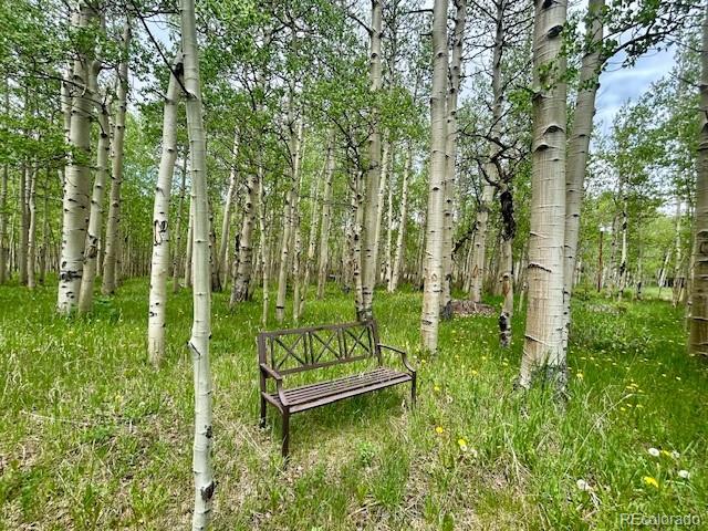 MLS Image #30 for 1746  lump gulch road,black hawk, Colorado