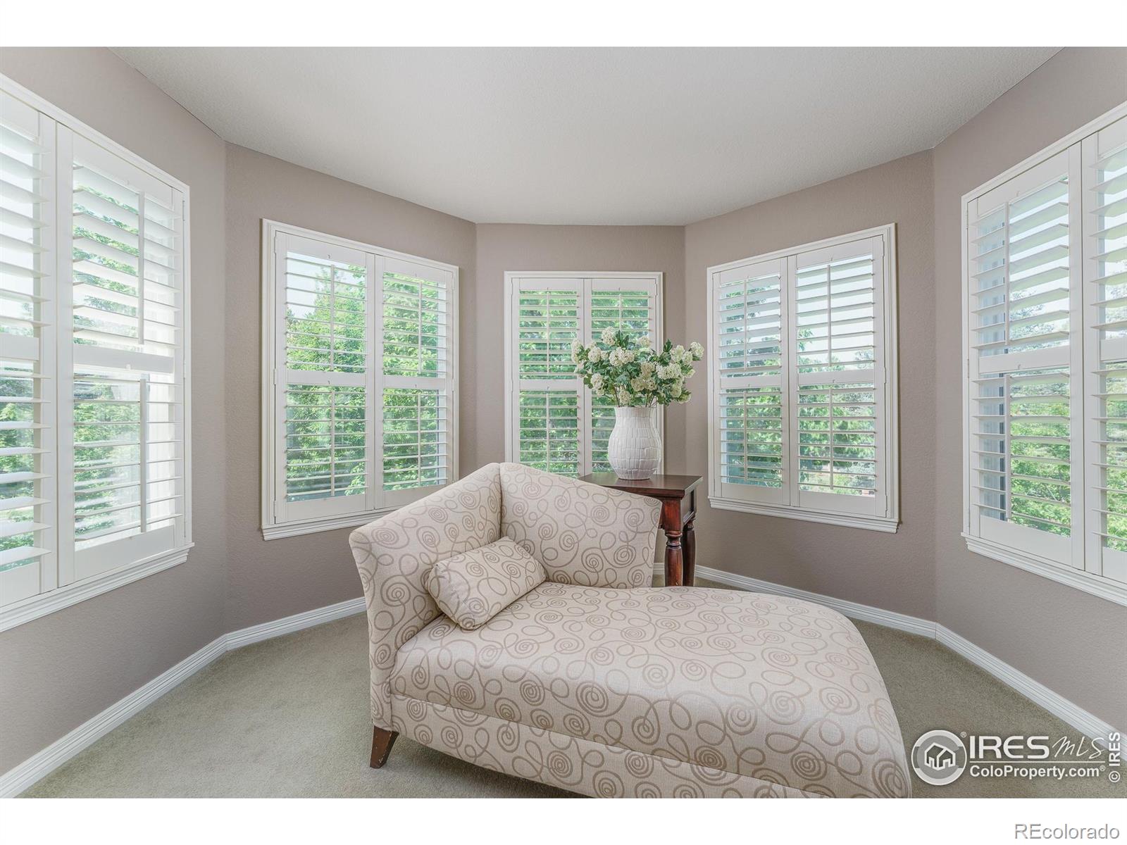 MLS Image #21 for 13951  brookside court,broomfield, Colorado