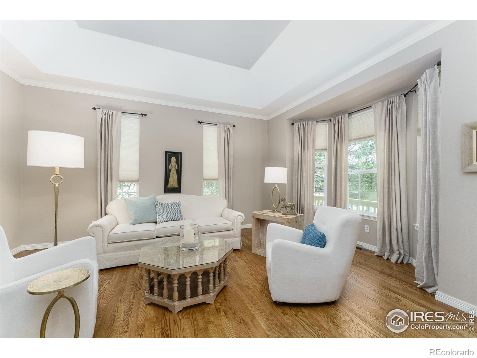 MLS Image #5 for 13951  brookside court,broomfield, Colorado