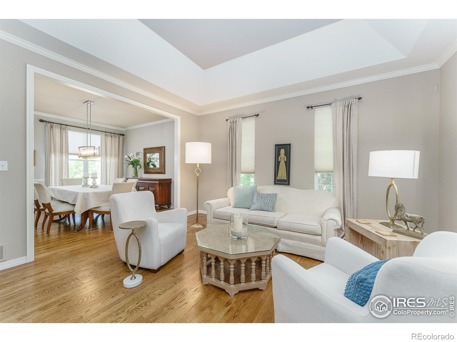 MLS Image #6 for 13951  brookside court,broomfield, Colorado