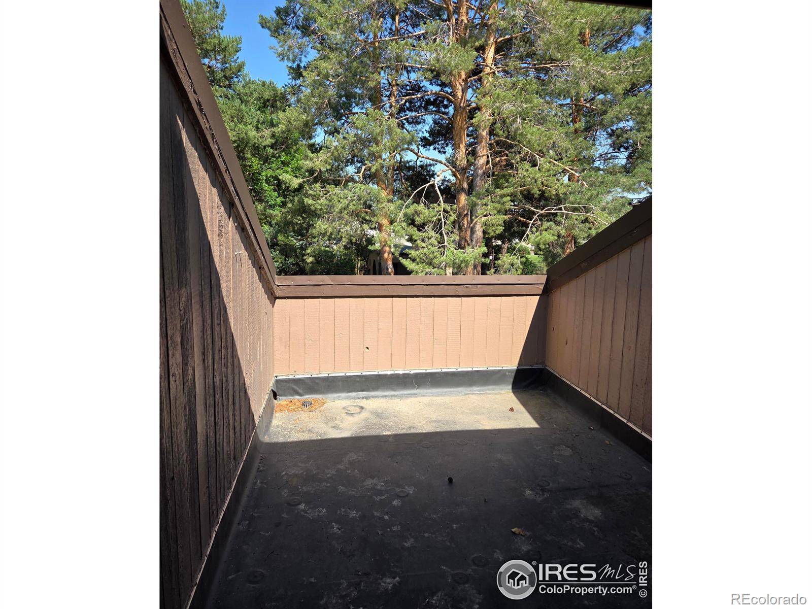 MLS Image #14 for 1550 w 28th street,loveland, Colorado