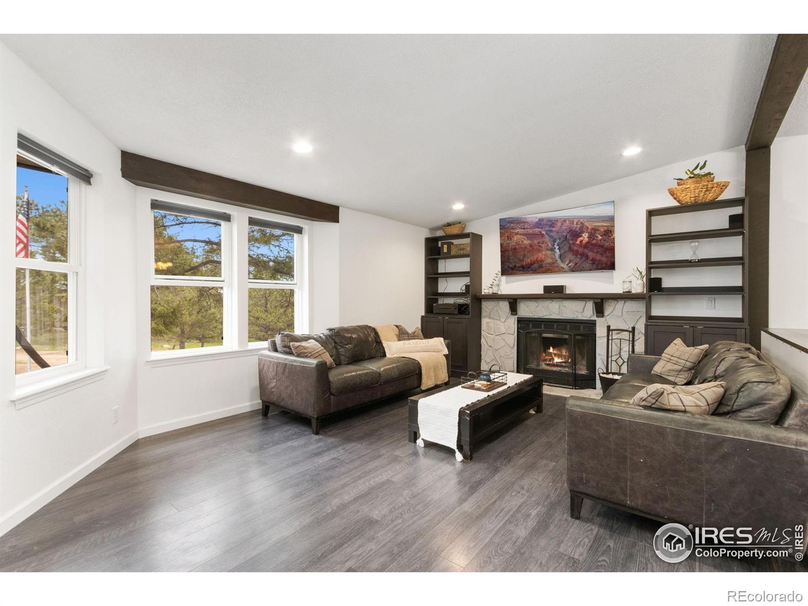 MLS Image #9 for 81  humboldt drive,livermore, Colorado