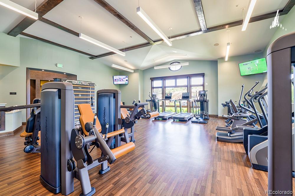 MLS Image #10 for 11160  dolce vita place,littleton, Colorado