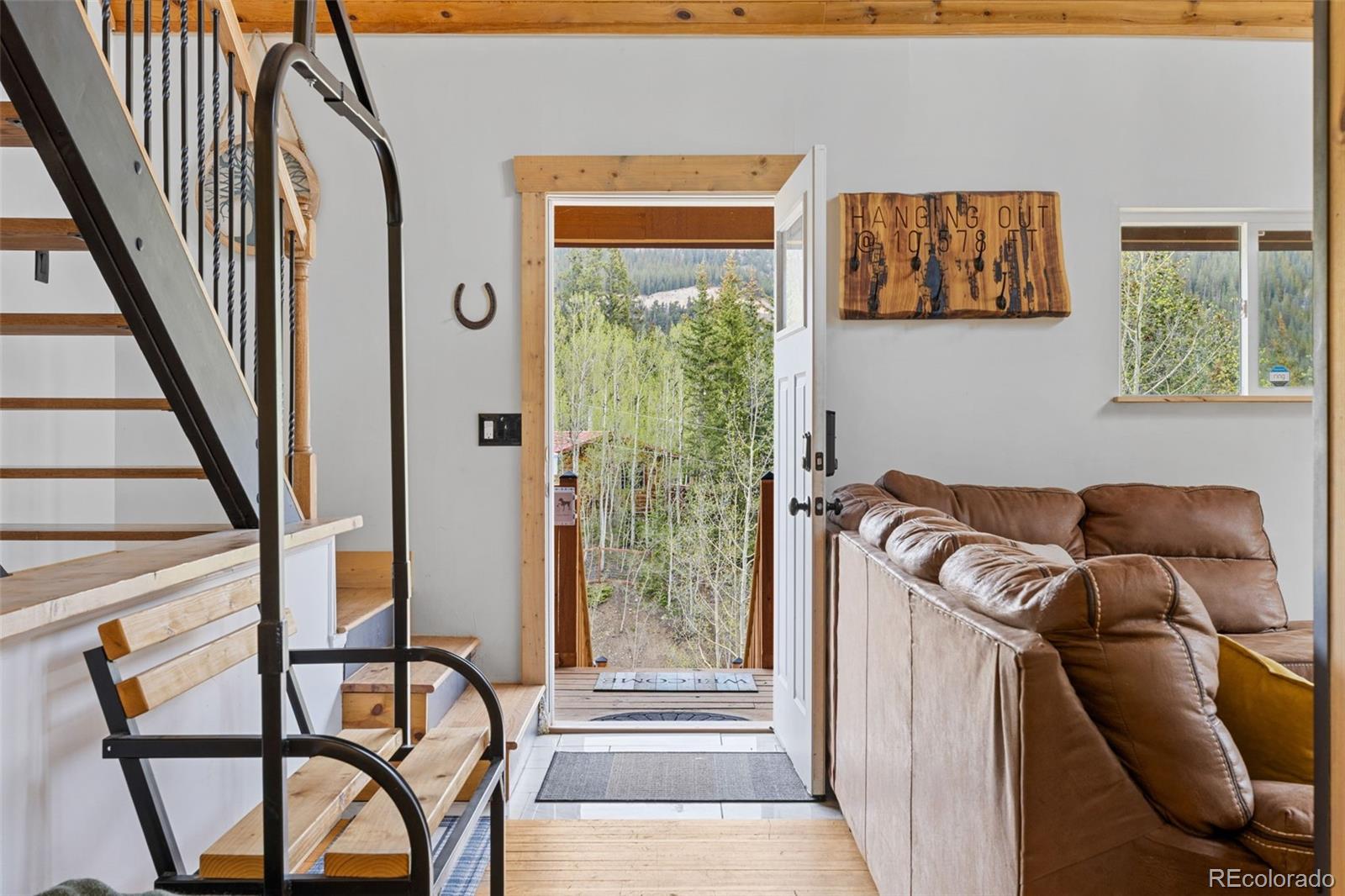 MLS Image #1 for 894  peterson drive,alma, Colorado