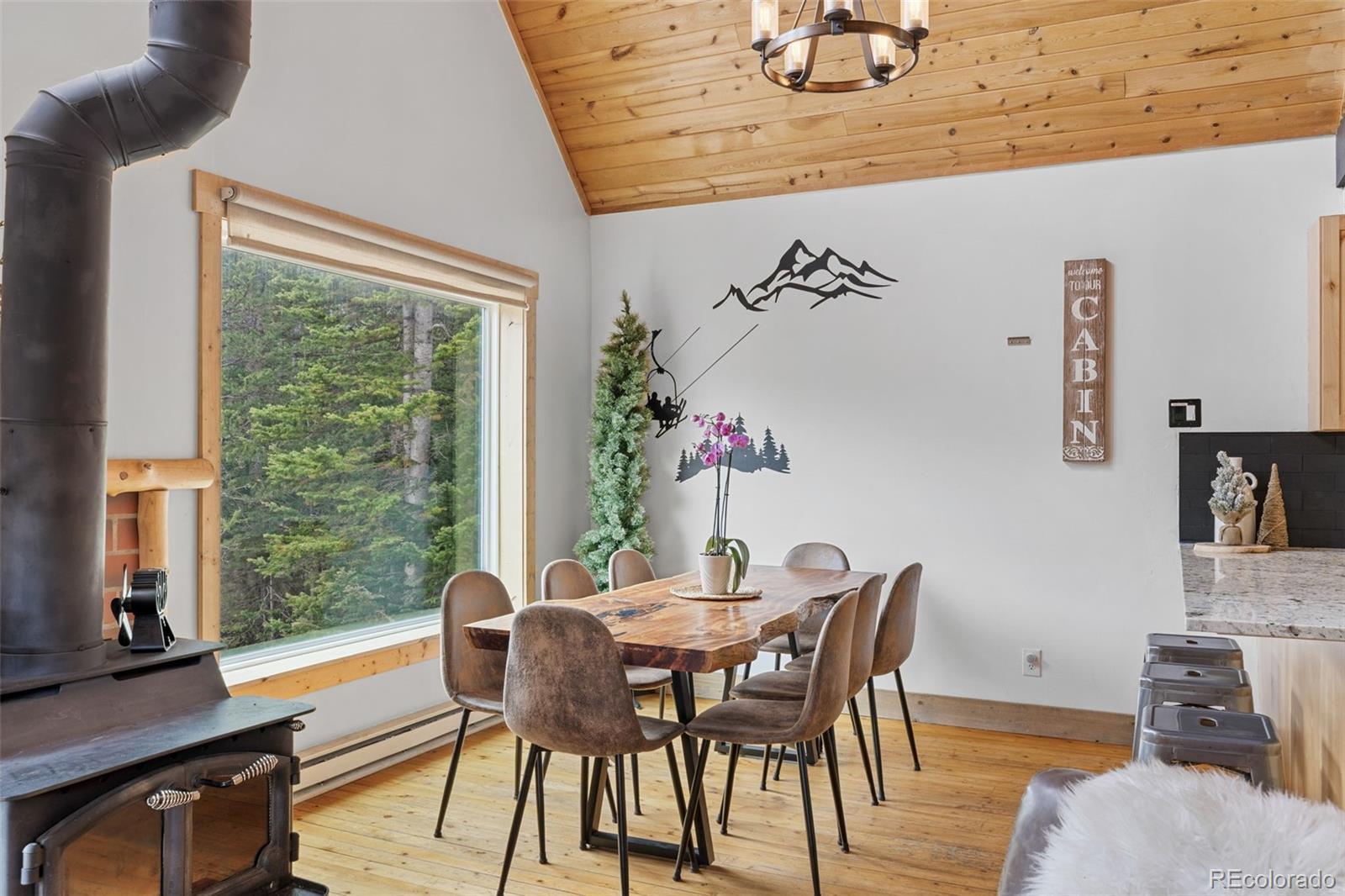 MLS Image #13 for 894  peterson drive,alma, Colorado