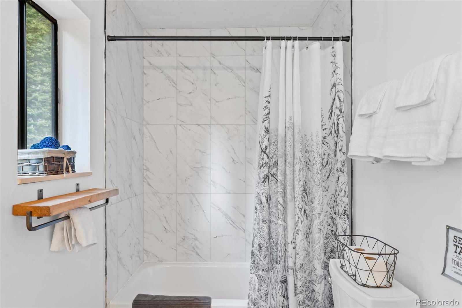 MLS Image #29 for 894  peterson drive,alma, Colorado