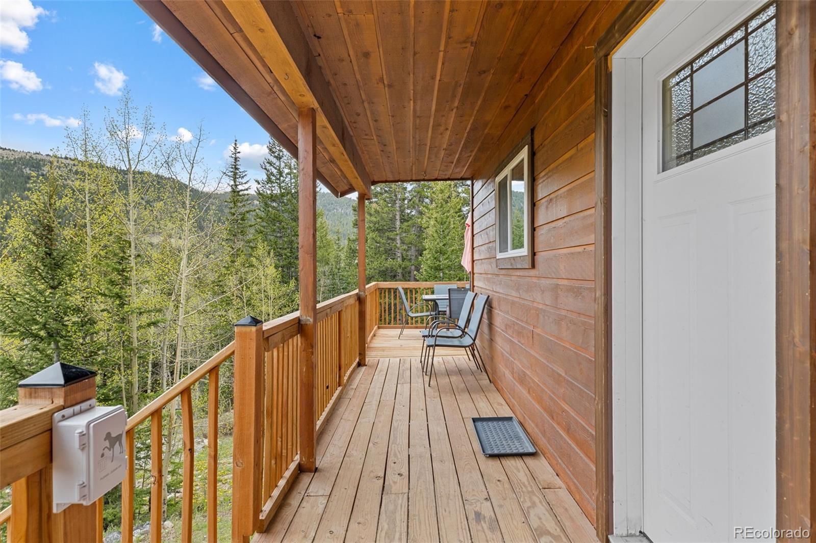 MLS Image #40 for 894  peterson drive,alma, Colorado