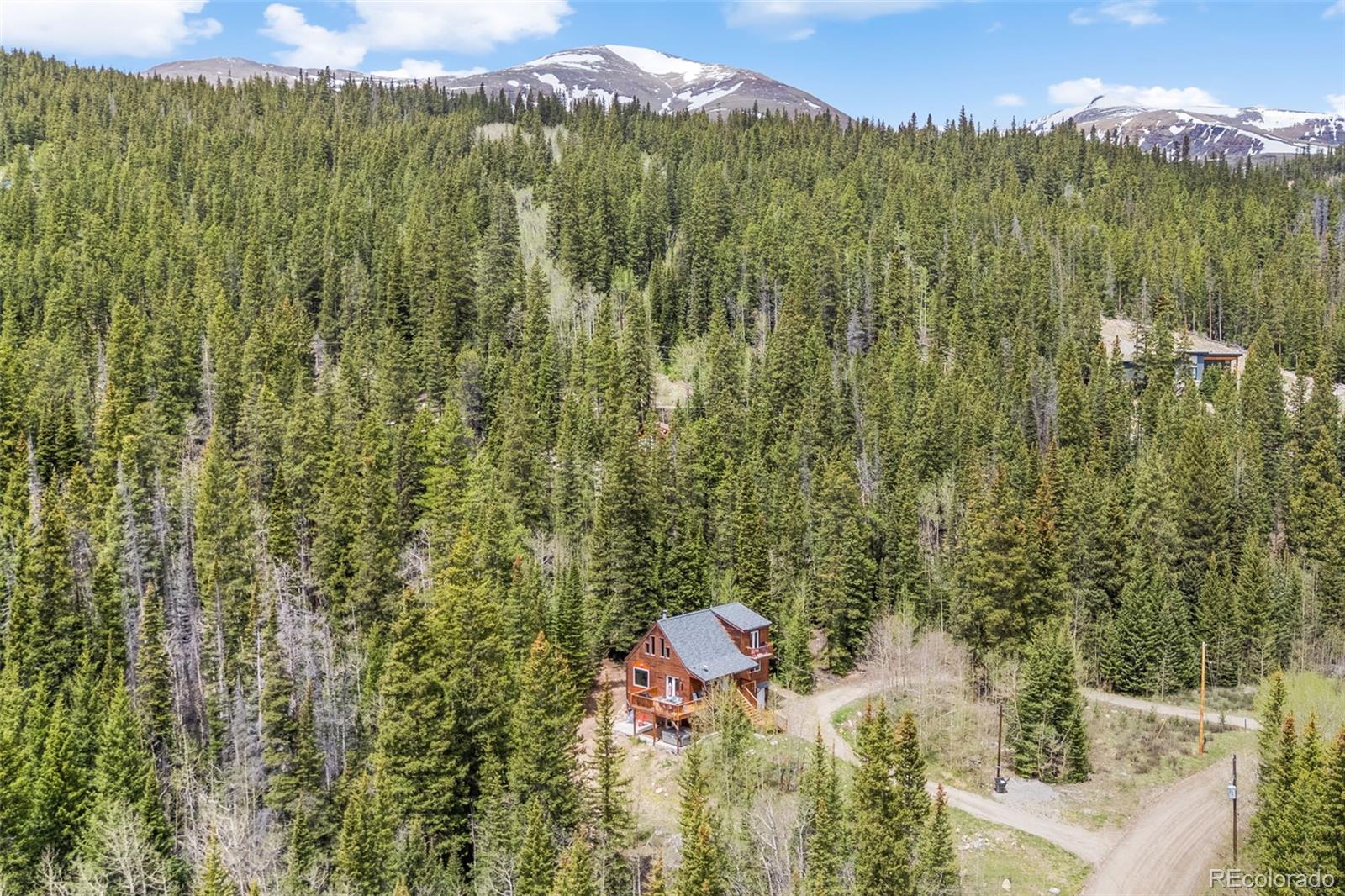 MLS Image #49 for 894  peterson drive,alma, Colorado