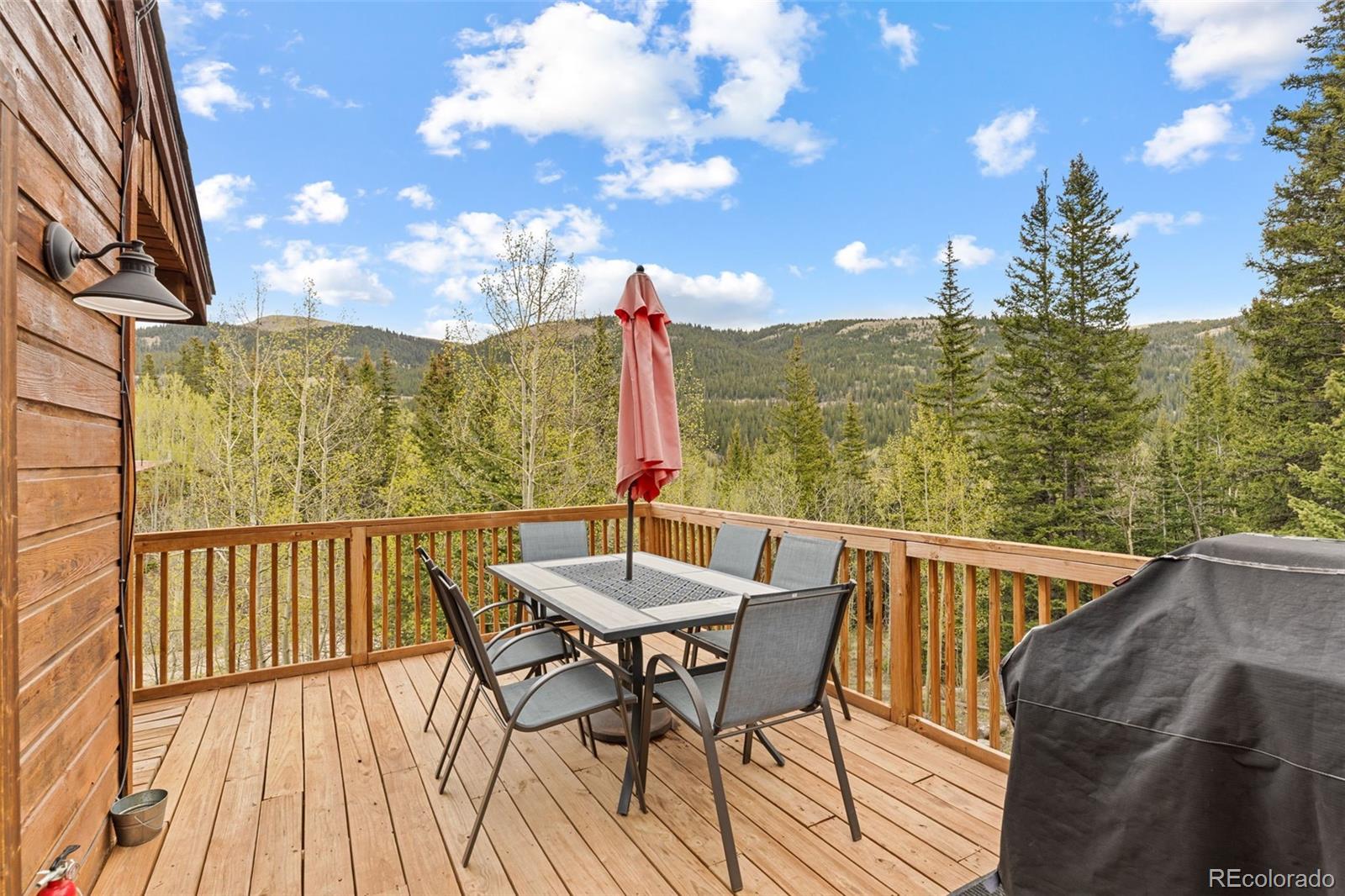 MLS Image #5 for 894  peterson drive,alma, Colorado