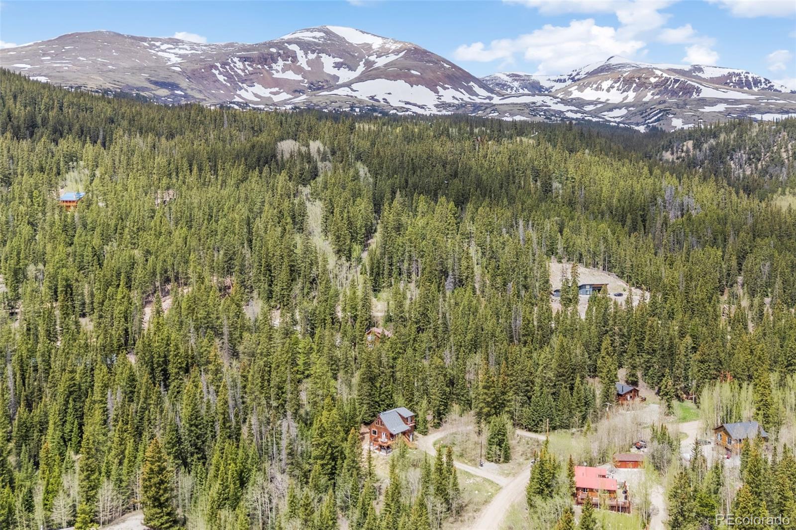 MLS Image #8 for 894  peterson drive,alma, Colorado