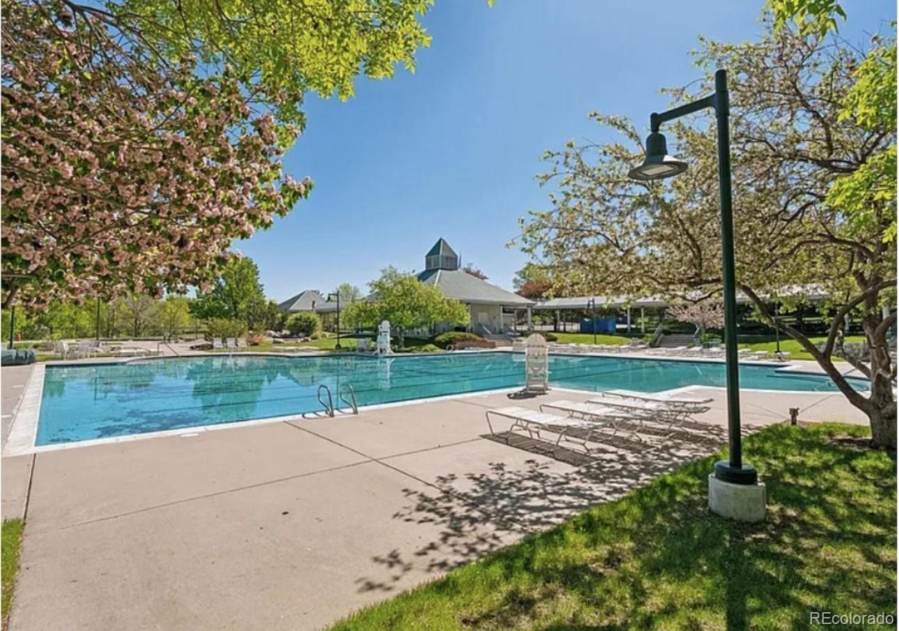 MLS Image #48 for 10345  lions heart ,lone tree, Colorado