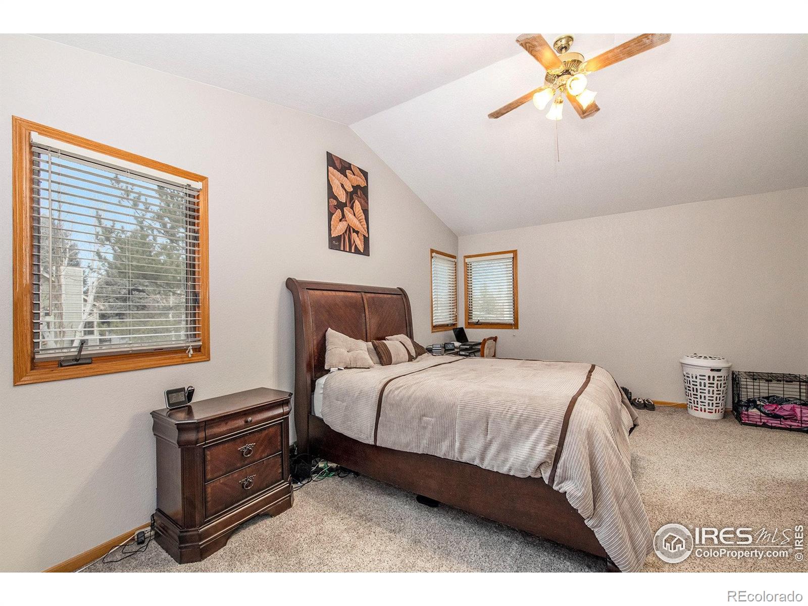 MLS Image #10 for 7945  allott avenue,fort collins, Colorado