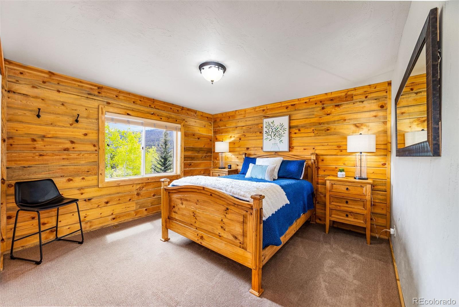 MLS Image #21 for 146  atoka drive,como, Colorado
