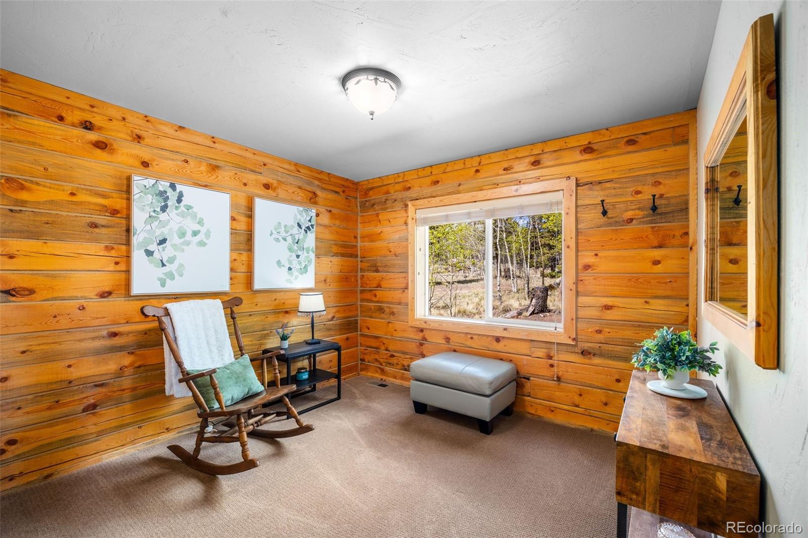 MLS Image #24 for 146  atoka drive,como, Colorado