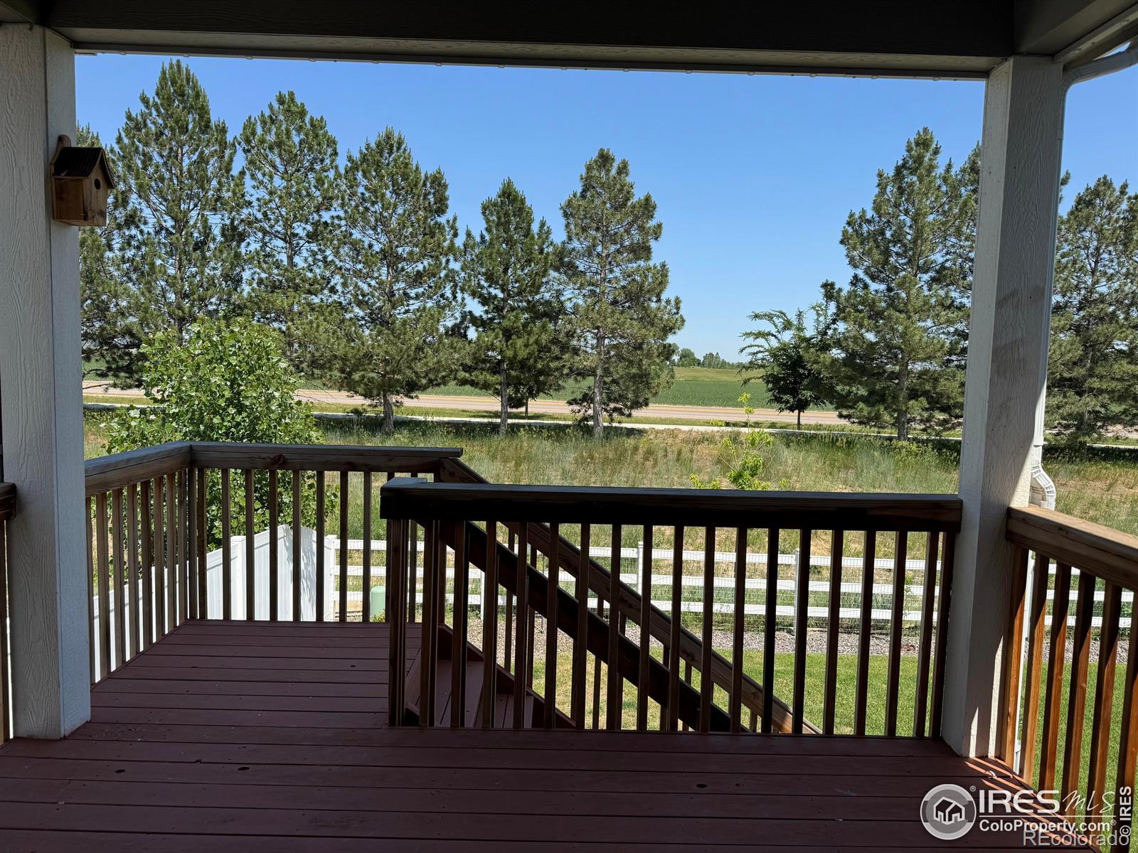 MLS Image #10 for 5017  hawtrey drive,windsor, Colorado