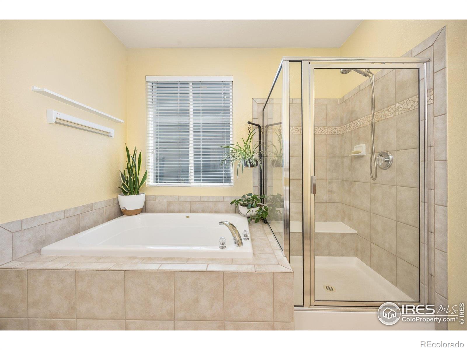 MLS Image #19 for 6324  saratoga trail,erie, Colorado