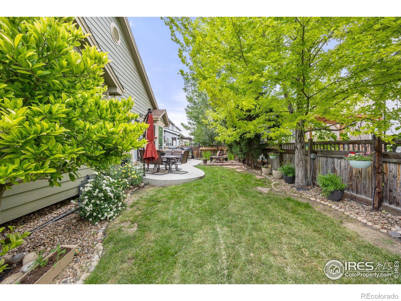 MLS Image #5 for 6324  saratoga trail,erie, Colorado