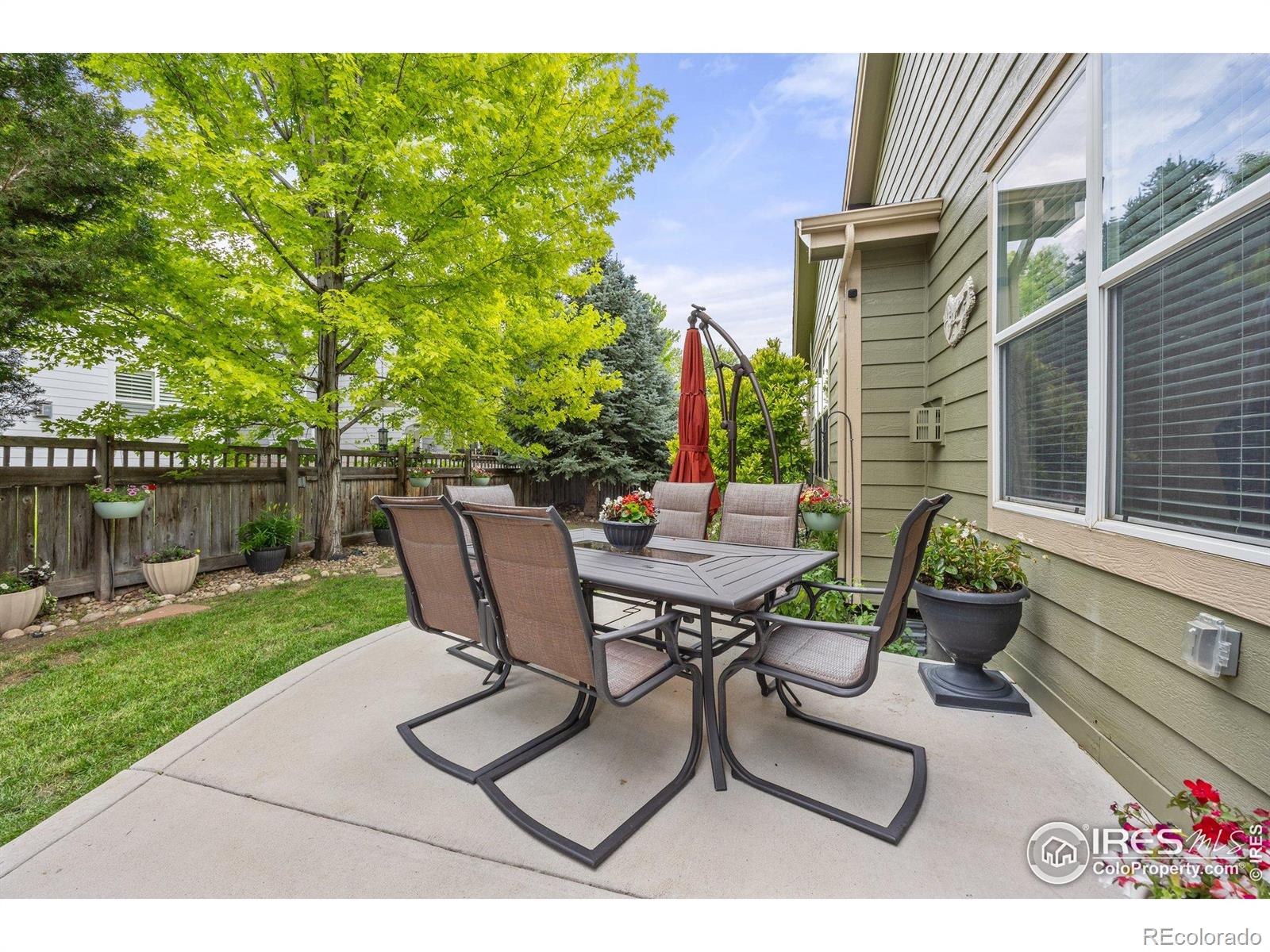 MLS Image #8 for 6324  saratoga trail,erie, Colorado