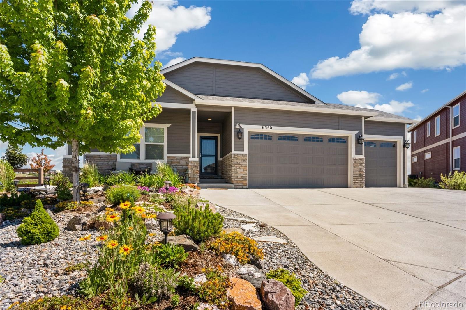MLS Image #3 for 6350  stonefly drive,colorado springs, Colorado