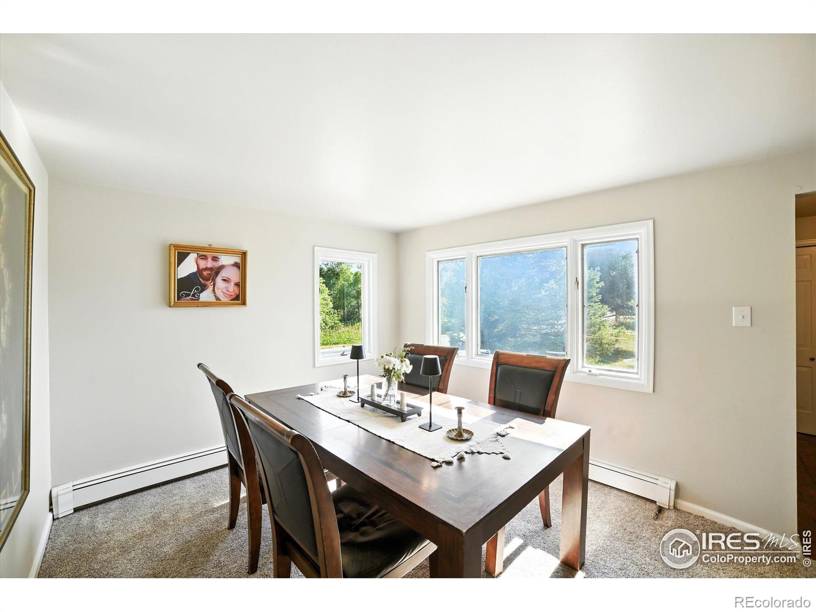 MLS Image #16 for 10930 n 85th street,longmont, Colorado