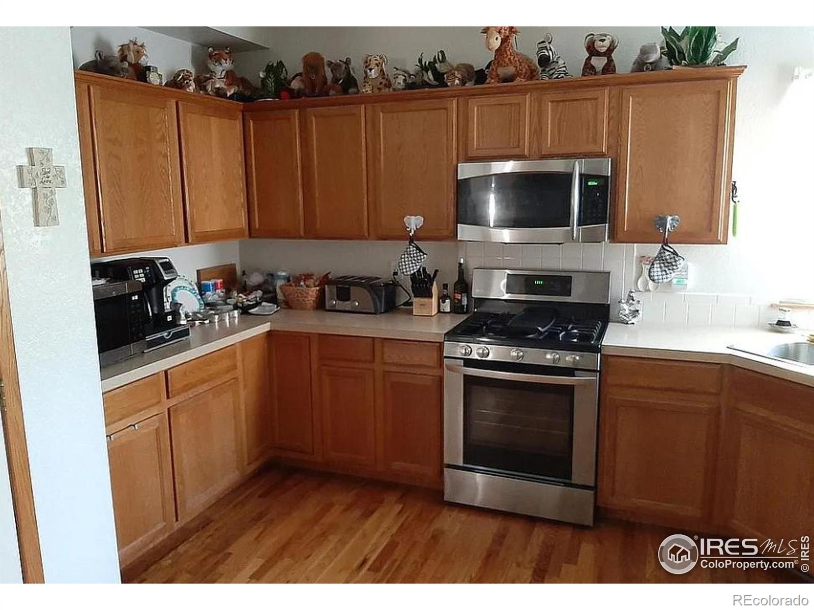 MLS Image #5 for 2714  arancia drive,fort collins, Colorado