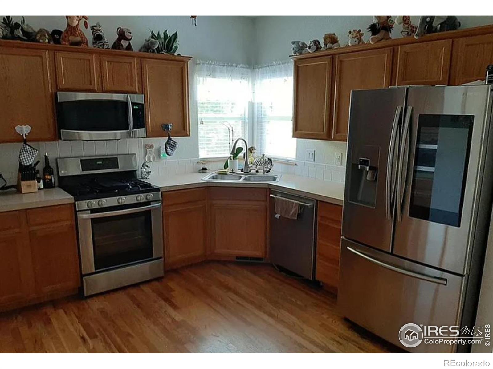 MLS Image #6 for 2714  arancia drive,fort collins, Colorado