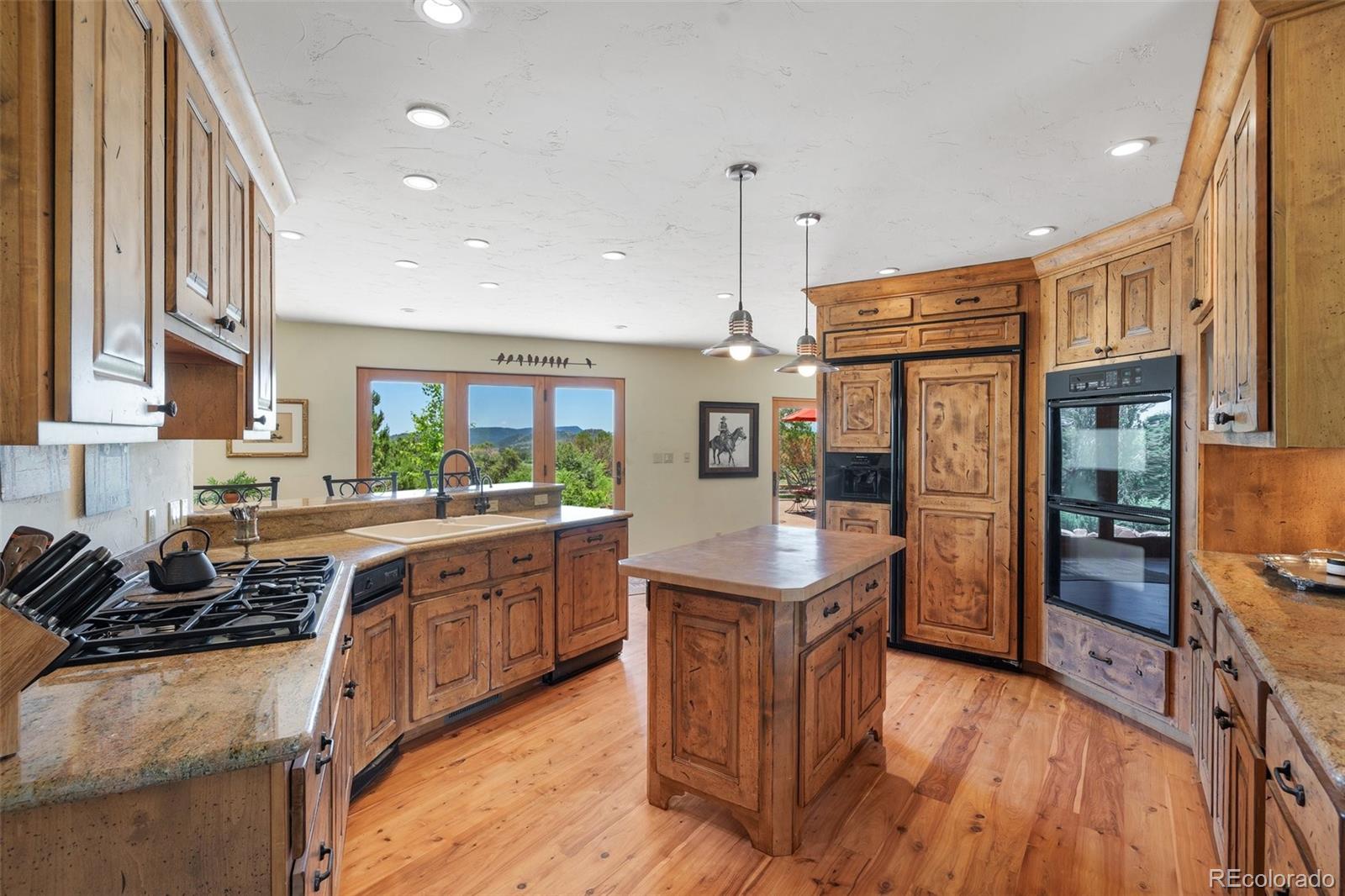 MLS Image #7 for 3525  turkey canon ranch road,colorado springs, Colorado