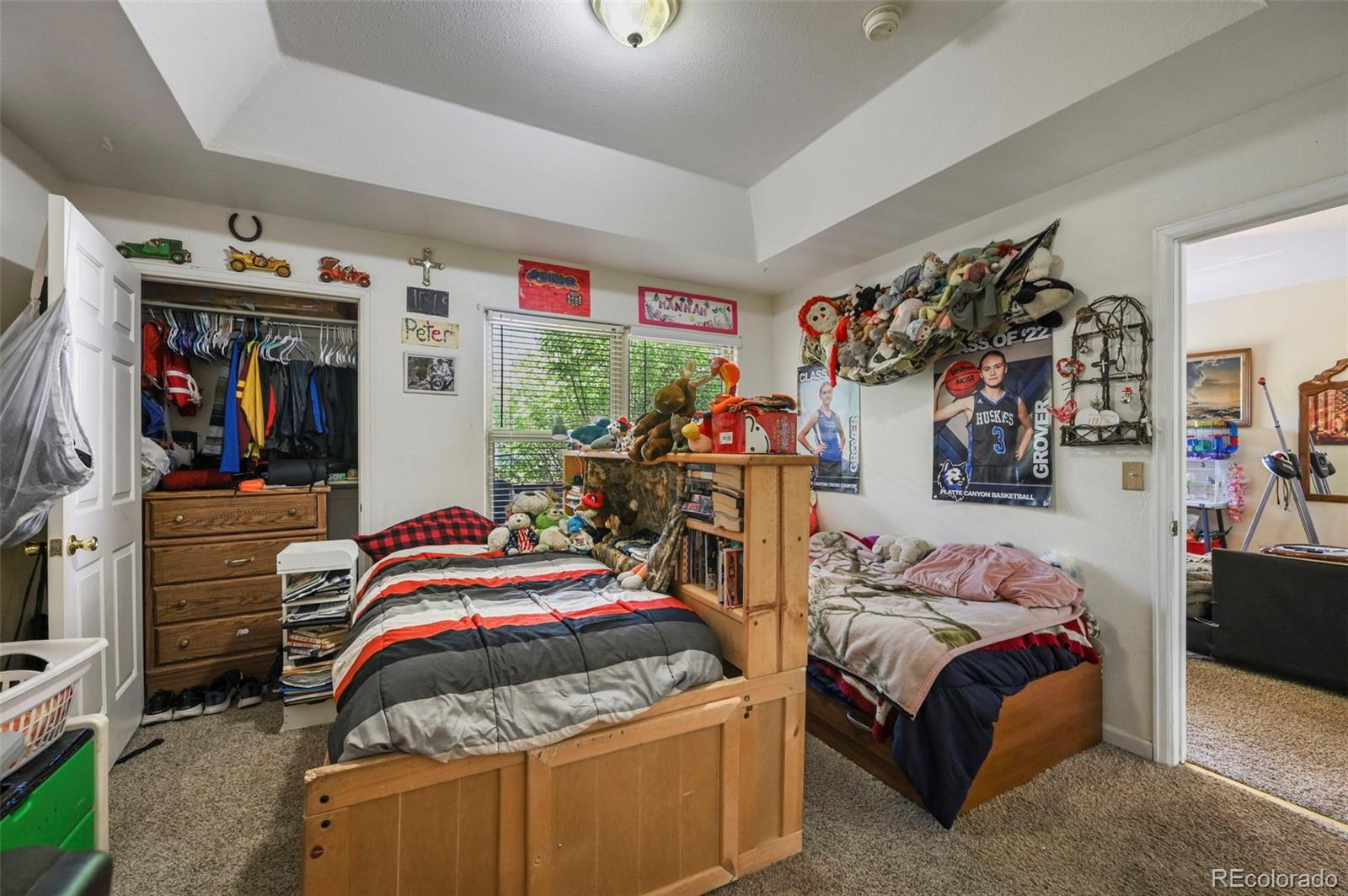 MLS Image #22 for 5720  county road 64 #a102 ,bailey, Colorado
