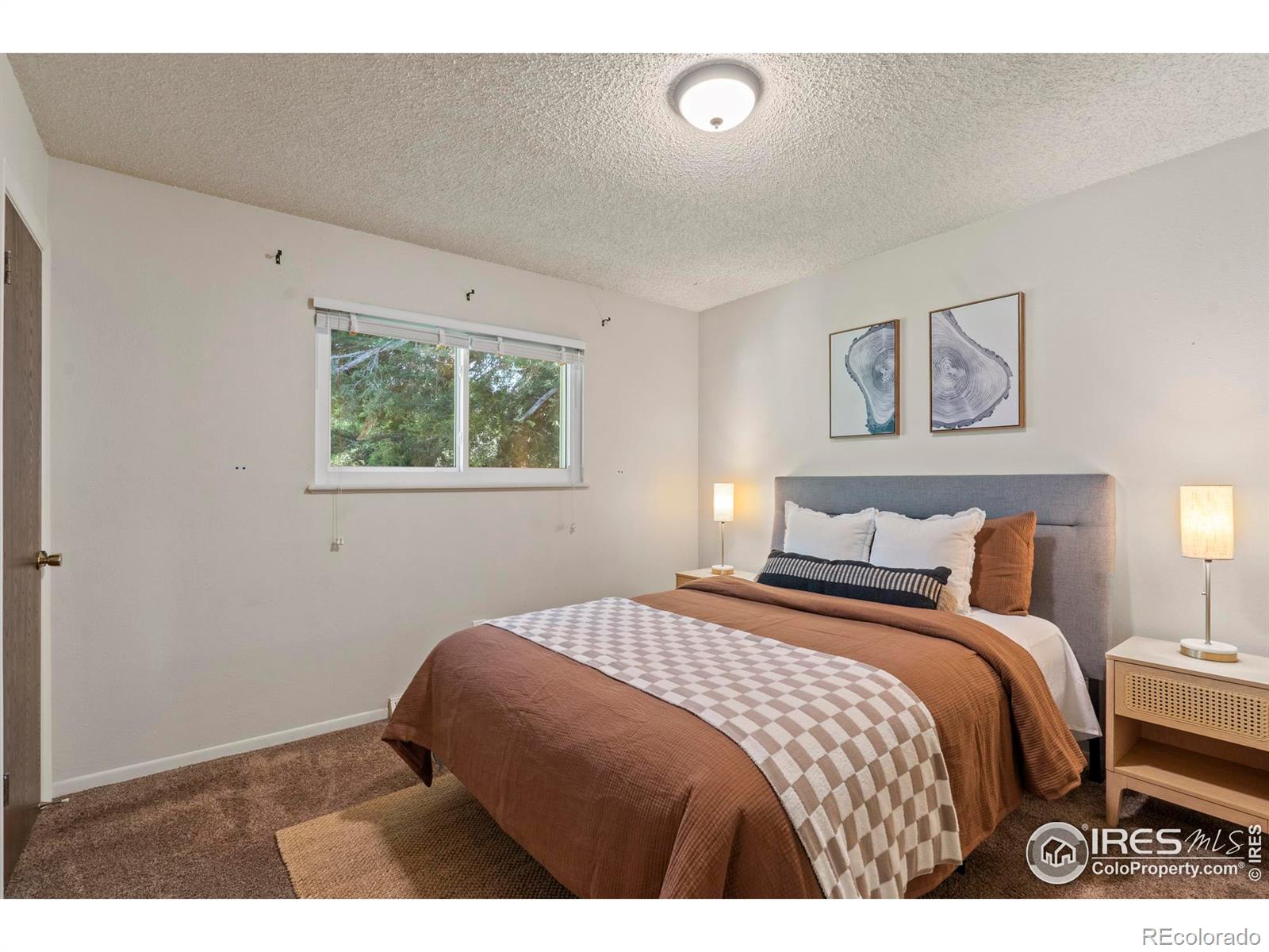 MLS Image #12 for 2519  timber court,fort collins, Colorado