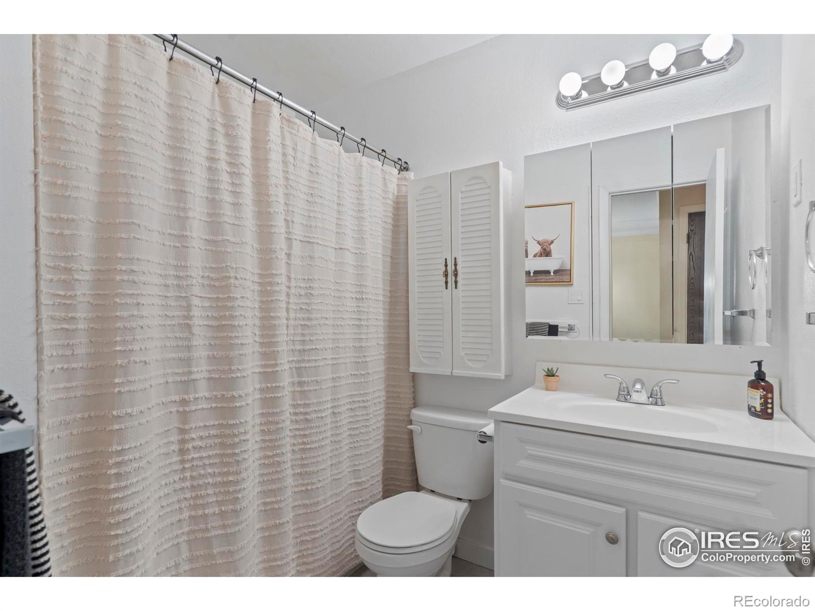 MLS Image #14 for 2519  timber court,fort collins, Colorado
