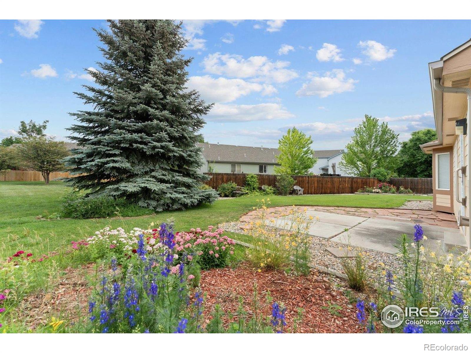 MLS Image #25 for 617  snow peak court,loveland, Colorado