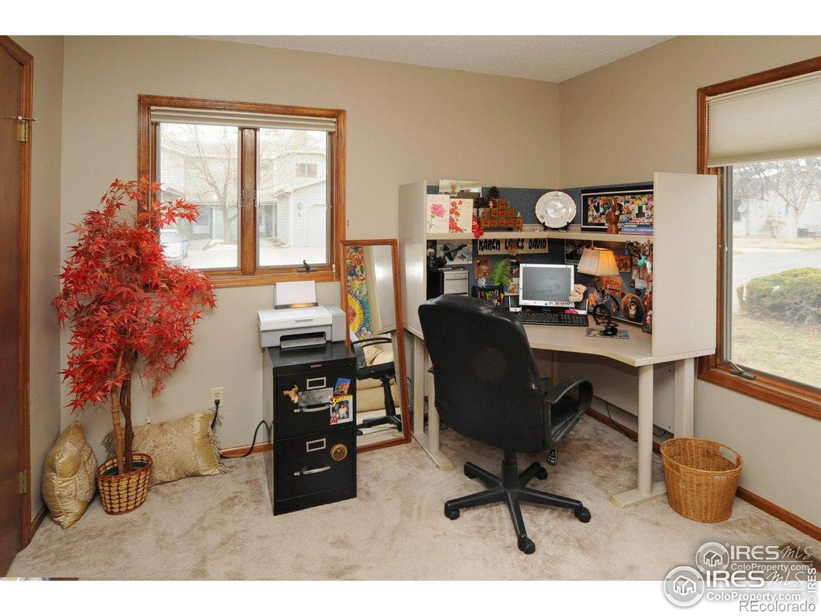 MLS Image #11 for 933 e prospect road,fort collins, Colorado