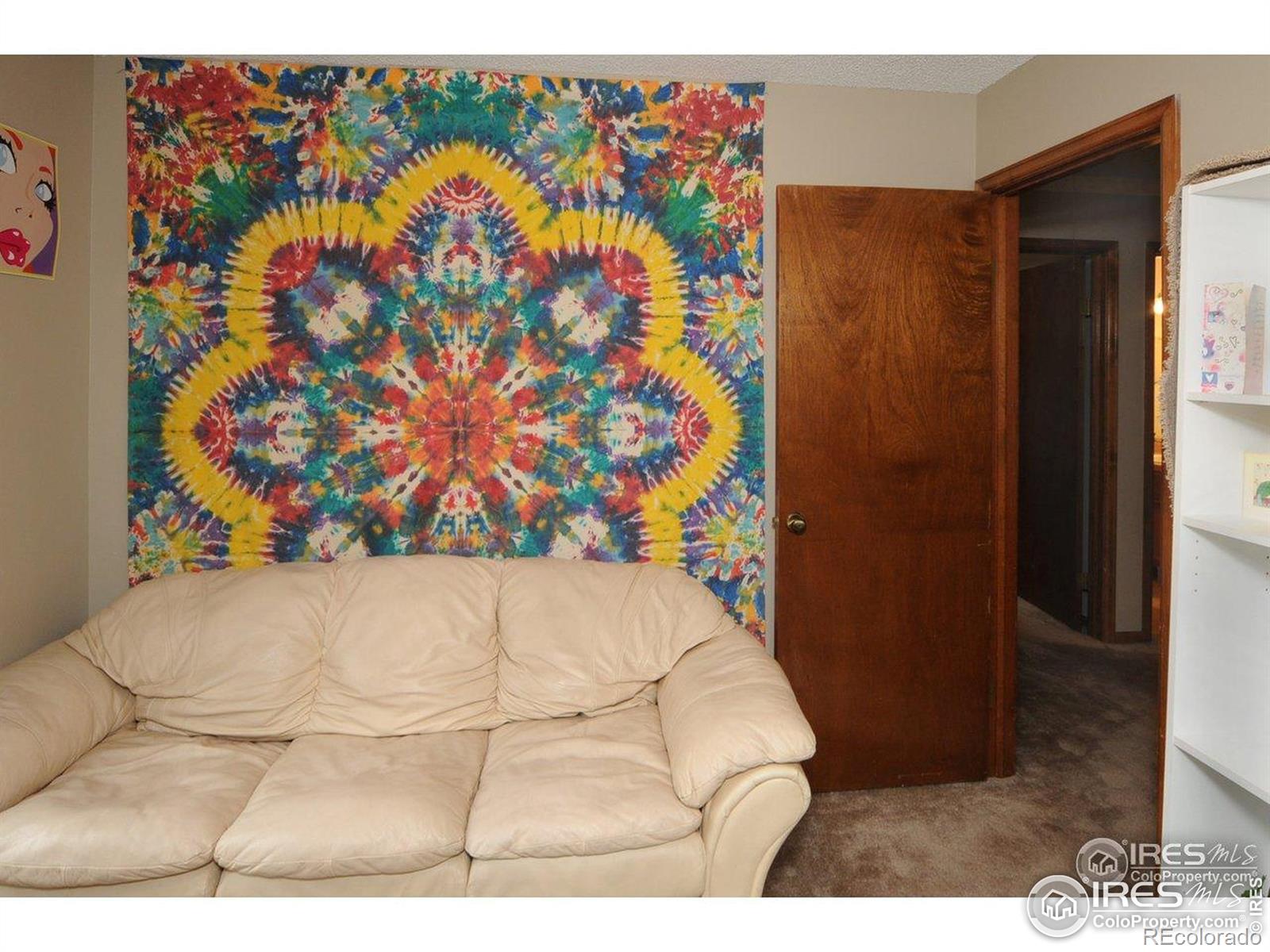 MLS Image #12 for 933 e prospect road,fort collins, Colorado