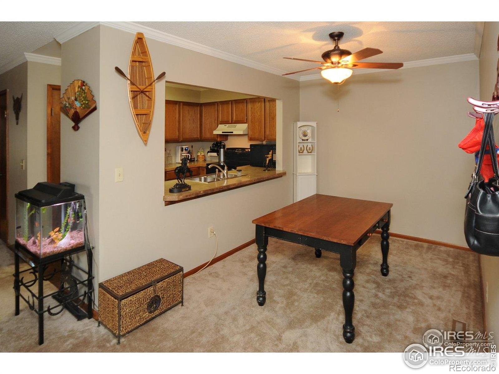 MLS Image #3 for 933 e prospect road,fort collins, Colorado