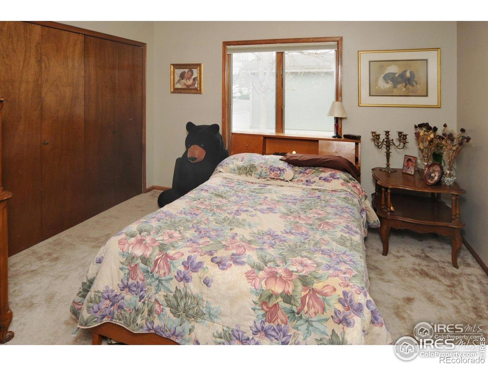 MLS Image #7 for 933 e prospect road,fort collins, Colorado
