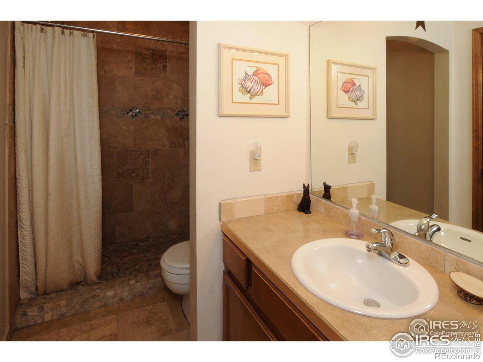 MLS Image #8 for 933 e prospect road,fort collins, Colorado