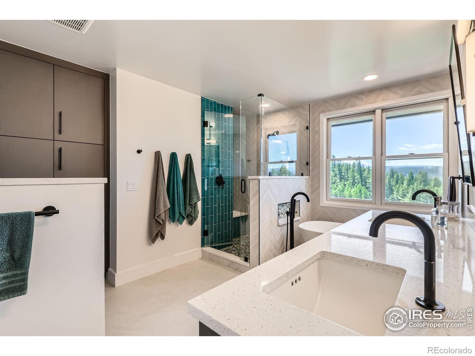 MLS Image #15 for 4815  sugarloaf road,boulder, Colorado
