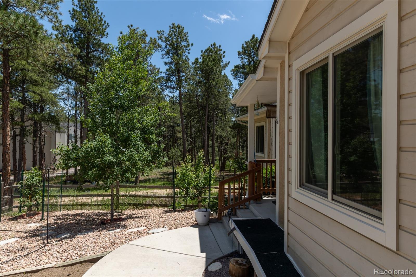 MLS Image #39 for 11030  pine meadows road,colorado springs, Colorado