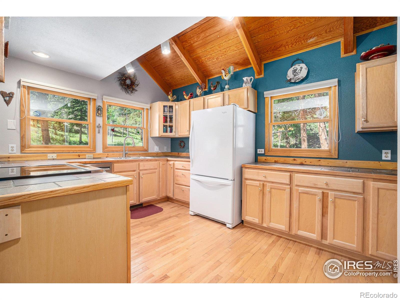 MLS Image #11 for 1056  fall river court,estes park, Colorado