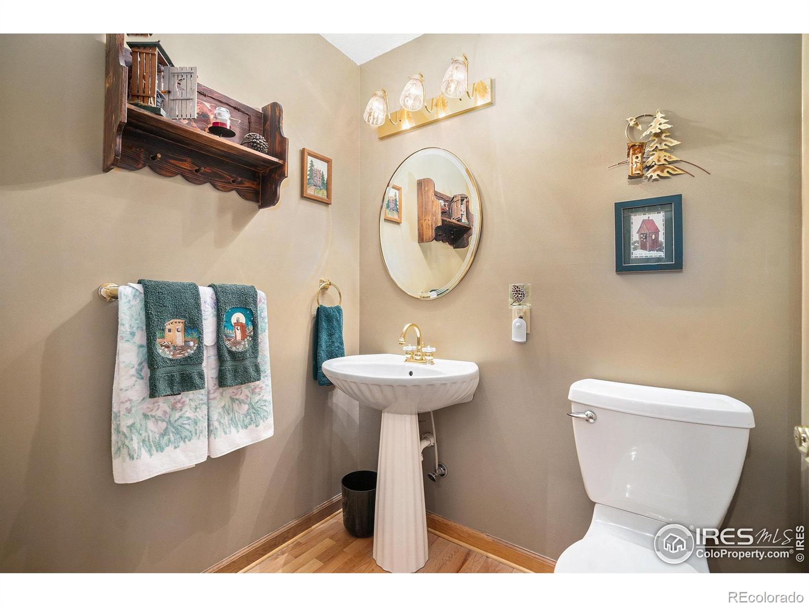 MLS Image #13 for 1056  fall river court,estes park, Colorado