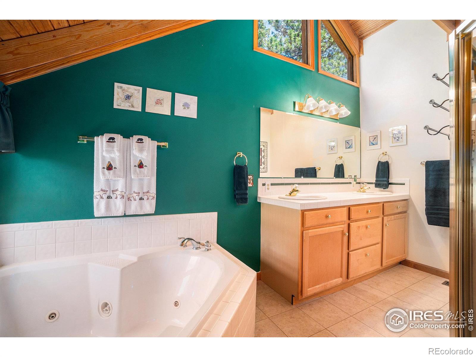 MLS Image #14 for 1056  fall river court,estes park, Colorado