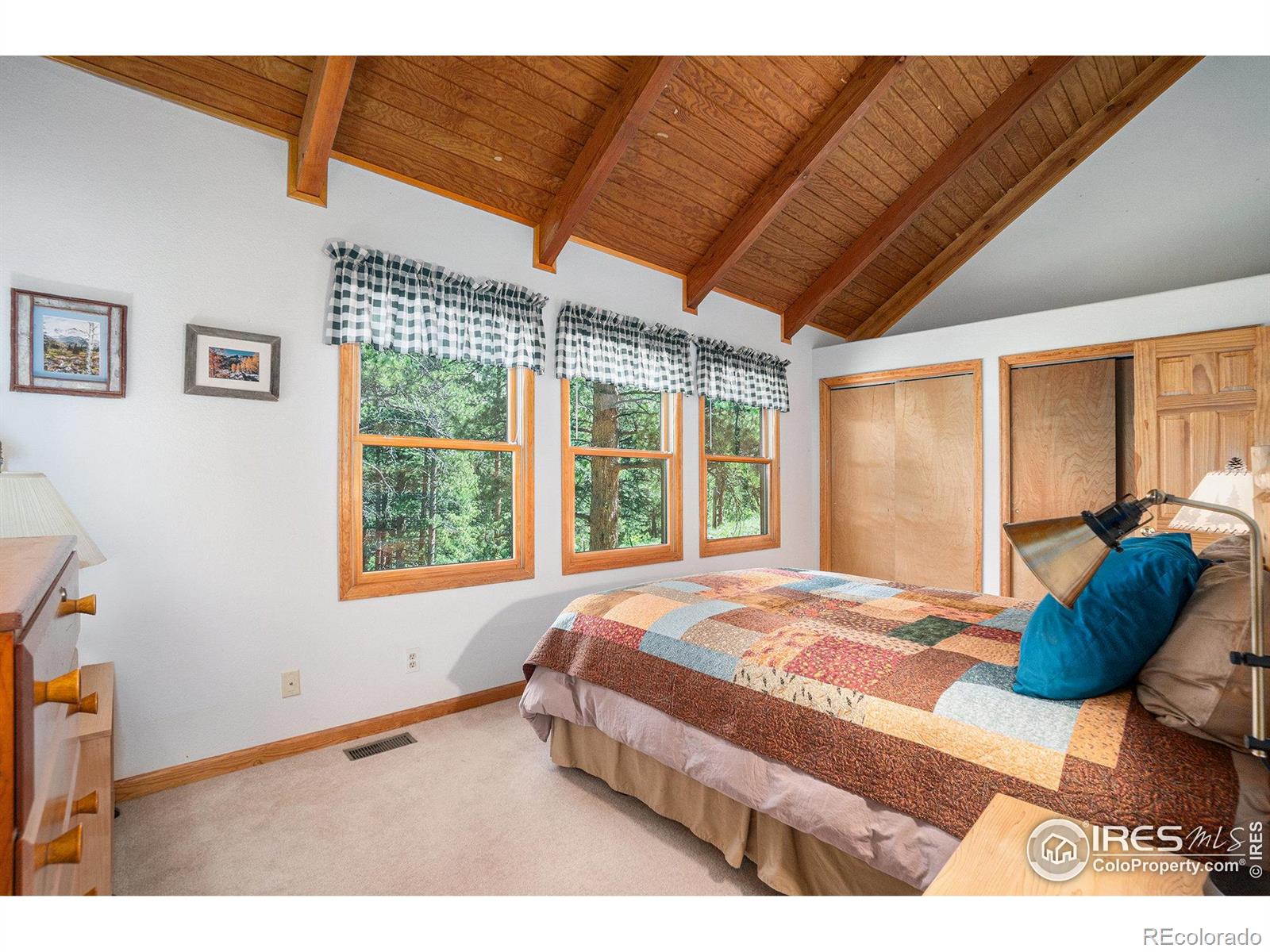 MLS Image #16 for 1056  fall river court,estes park, Colorado