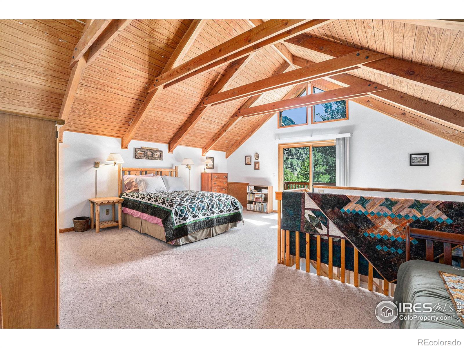 MLS Image #19 for 1056  fall river court,estes park, Colorado