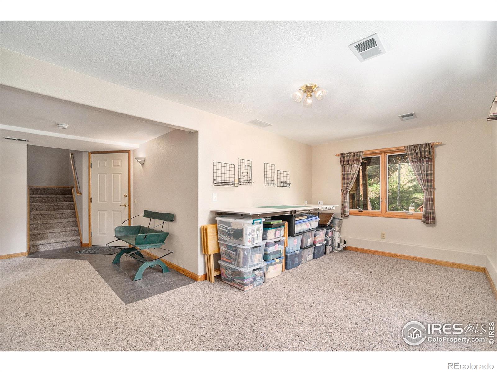 MLS Image #21 for 1056  fall river court,estes park, Colorado