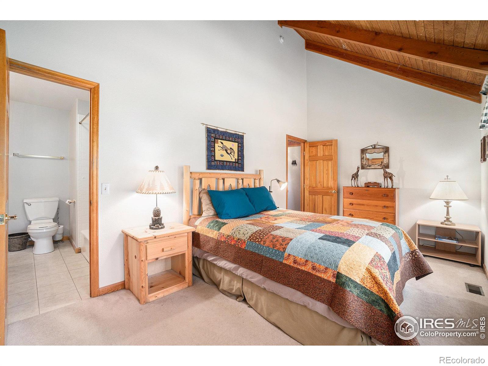 MLS Image #22 for 1056  fall river court,estes park, Colorado