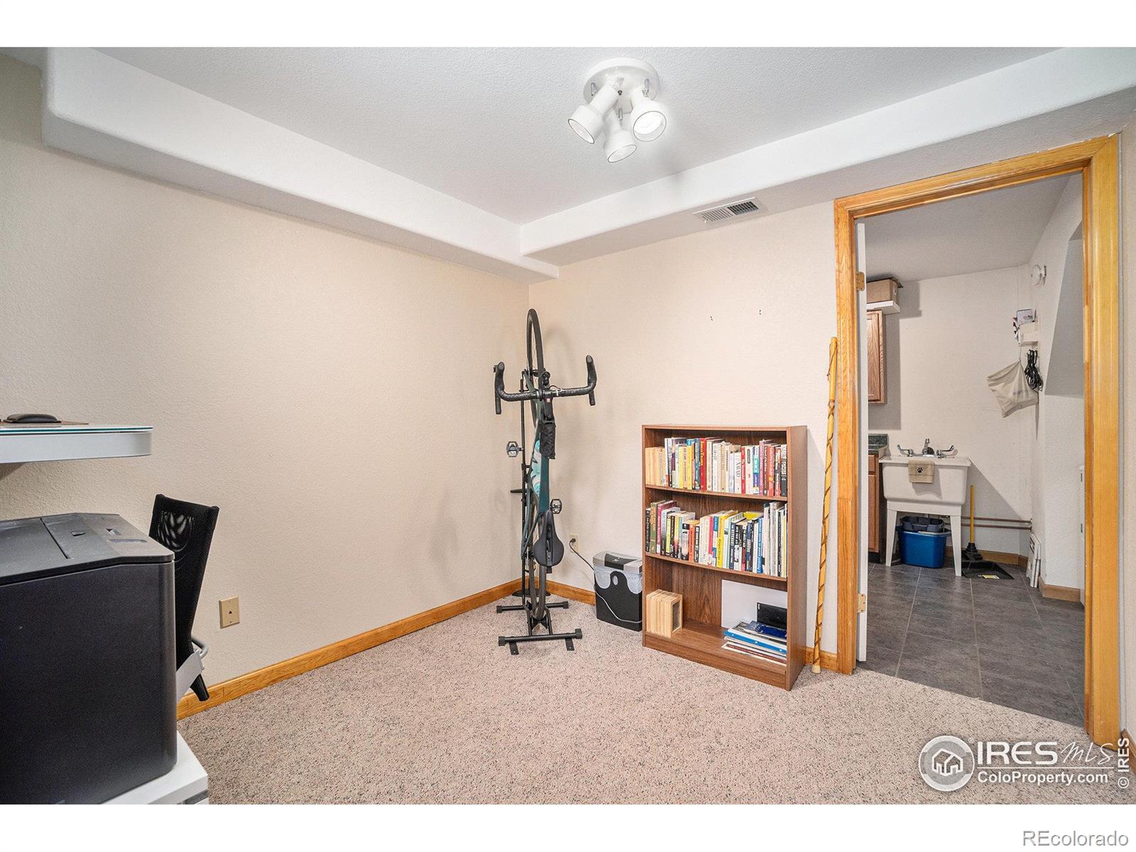 MLS Image #24 for 1056  fall river court,estes park, Colorado