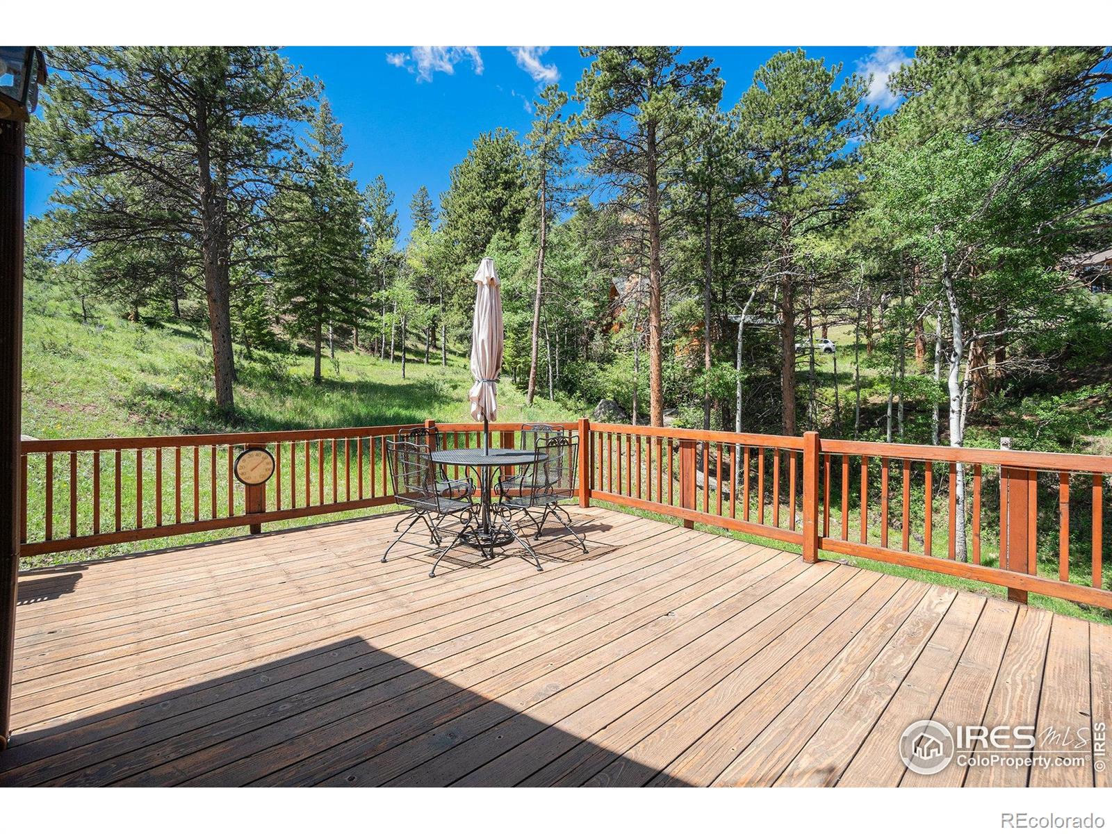 MLS Image #25 for 1056  fall river court,estes park, Colorado